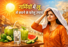 गर्मियों में लू से बचने के घरेलु उपाय: आसान टिप्स जो आपको रखेंगे ठंडा और सुरक्षित | Home remedies to avoid heat stroke in summer “गर्मियों में लू से बचने के घरेलु उपाय जैसे पानी, छाछ, आम पना और धूप से बचाव”
